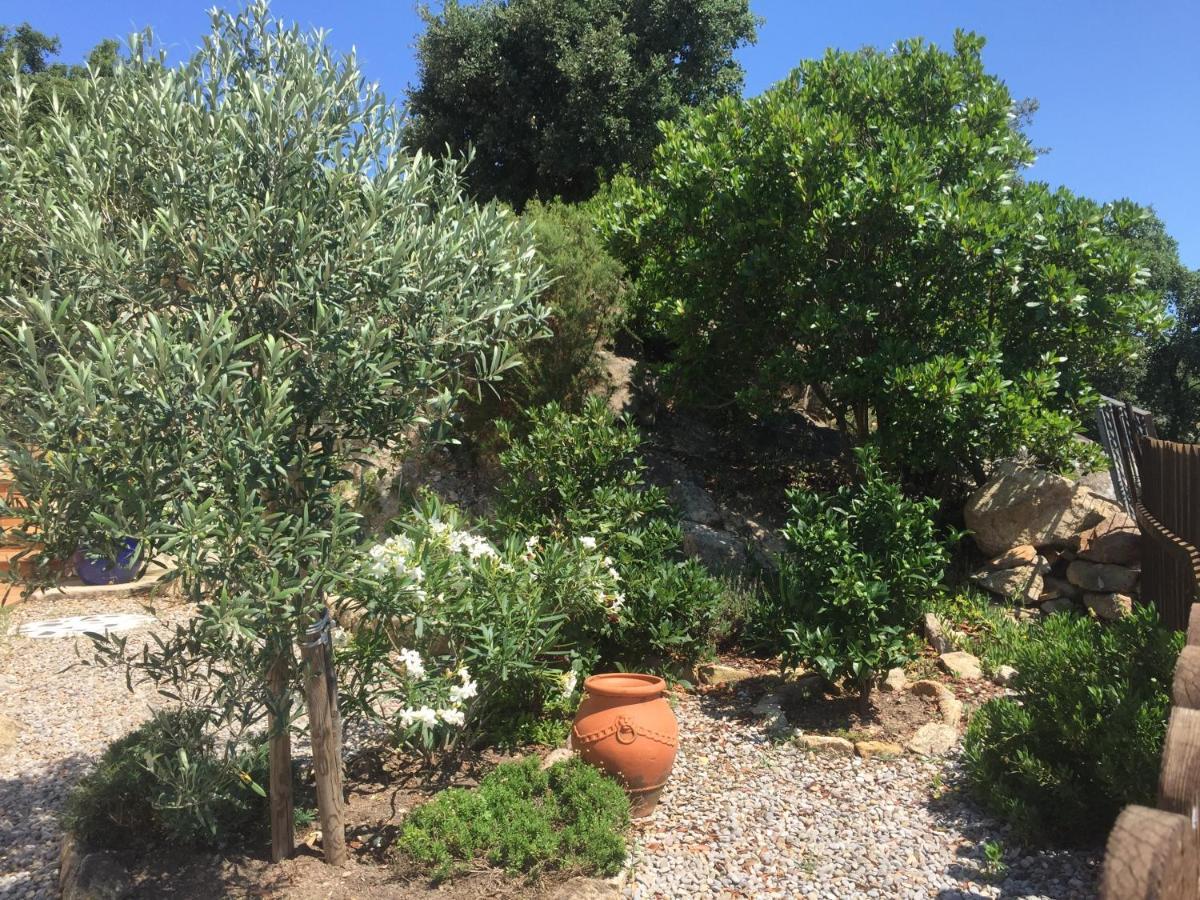 Villa Gardenia-Michael Sowa Santa Cristina d'Aro Esterno foto
